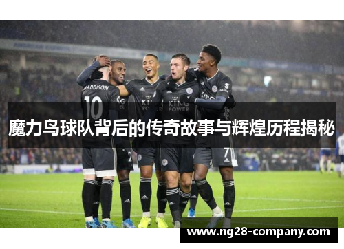 魔力鸟球队背后的传奇故事与辉煌历程揭秘