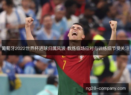 葡萄牙2022世界杯进球归属风波 教练临场应对与训练细节受关注